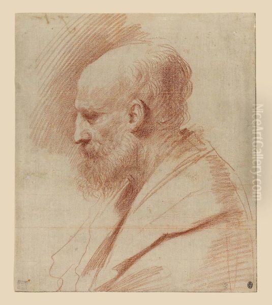 Head Of St. Joseph Oil Painting by Guercino