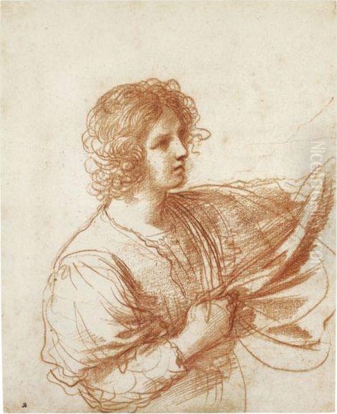 Study Of A Youth Holding A Swag Of Drapery Oil Painting by Guercino