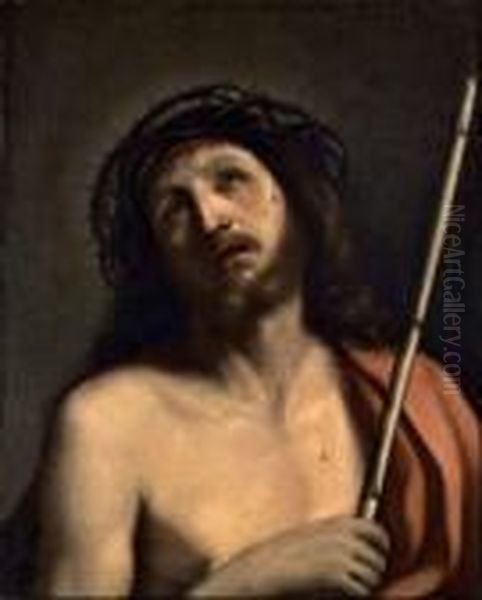 Ecce Homo Oil Painting by Guercino