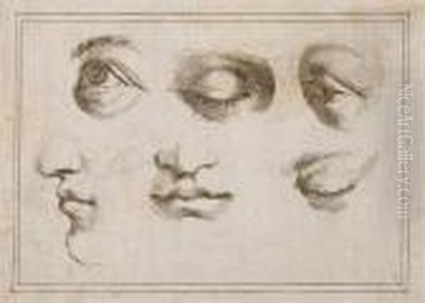 Studies Of Eyes And Mouths Oil Painting by Guercino