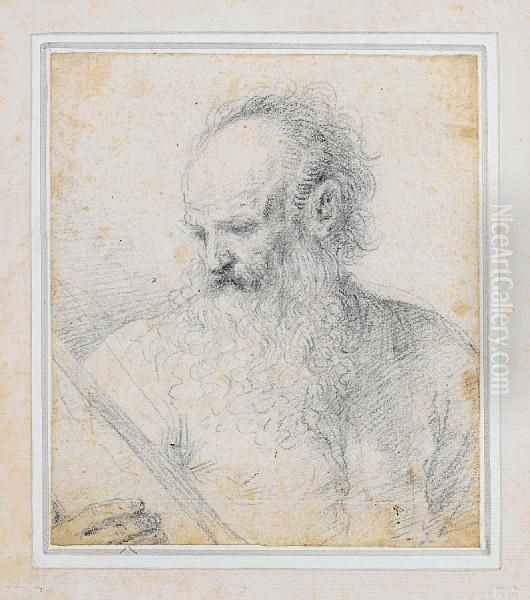 Study Of Saint Matthew Turned To His Right Oil Painting by Guercino