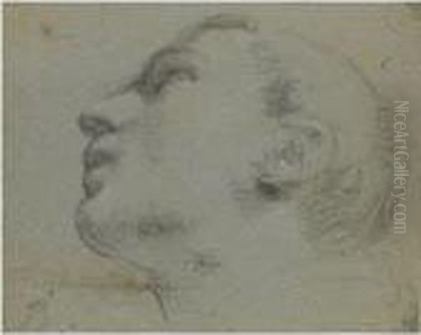 The Head Of A Man Turned To The Left by Guercino