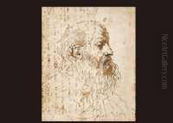 Study Of The Head Of A Beard Man In Profile To The Right Oil Painting by Guercino