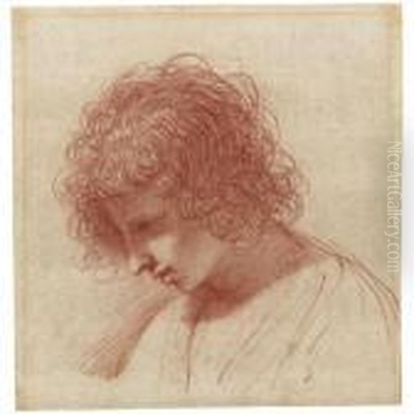 Head Of A Young Man In Profile, Looking Down To The Left Oil Painting by Guercino