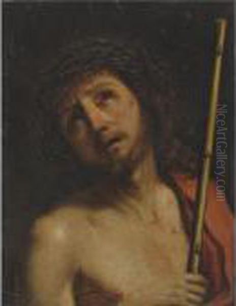 Christ Crowned With Thorns Oil Painting by Guercino