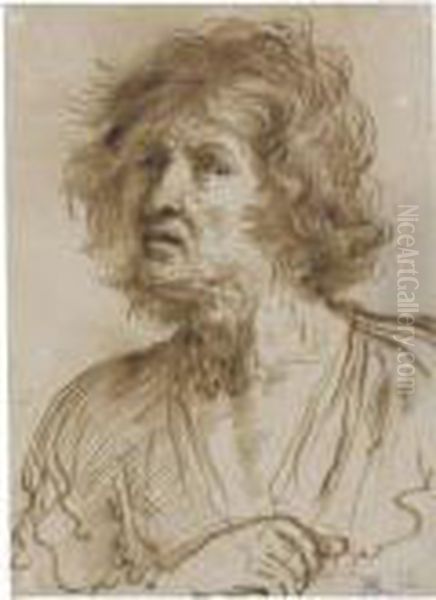 Study Of The Head Of A Dishevelled Man Oil Painting by Guercino