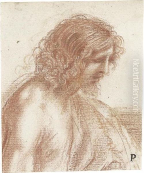 Study For A Figure Of St. John The Baptist, Head Andshoulders Oil Painting by Guercino