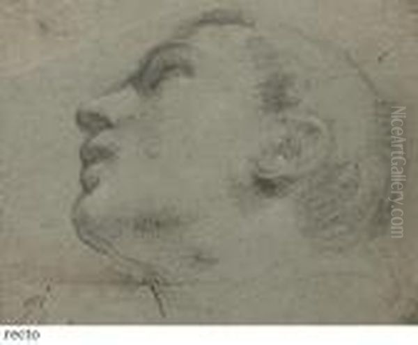 Head Of A Man Looking Up To The Left (recto); Study Of A Foot(verso) Oil Painting by Guercino