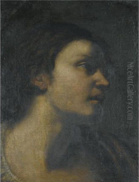 A Study Of A Head Oil Painting by Guercino