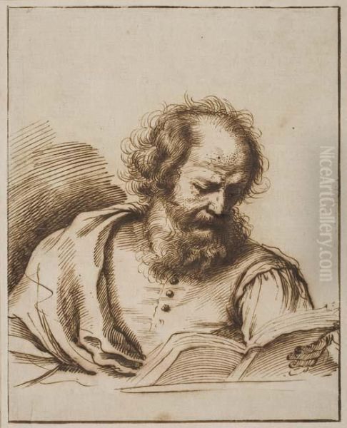 Study Of A Man Reading Oil Painting by Guercino