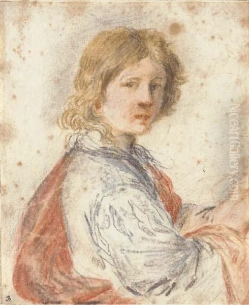 A Young Man, Half-length Oil Painting by Guercino