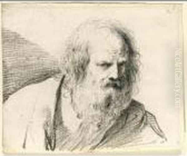 Bust Of A Bearded Old Man, Possibly An Apostle Oil Painting by Guercino