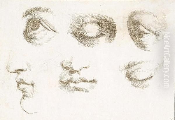 Five Studies Of Eyes, A Study Of
 The Lower Portion Of A Face In Profile And Another From The Front Oil Painting by Guercino