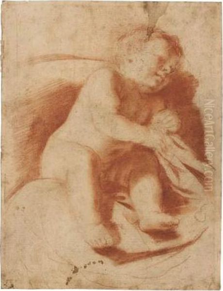 Study Of A Sleeping Child Oil Painting by Guercino