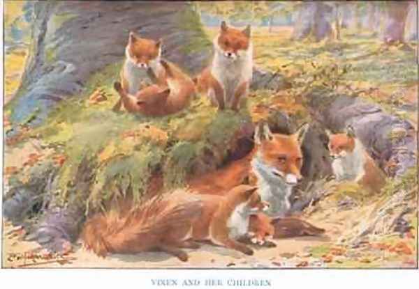 Vixen and her Children illustration from Country Ways and Country Days Oil Painting by Louis Fairfax Muckley