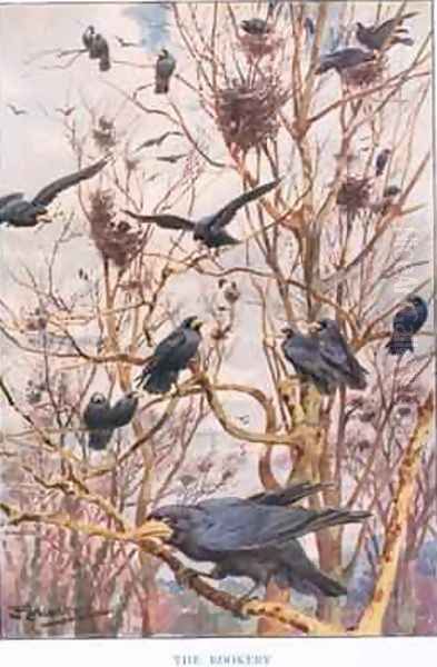 The Rookery illustration from Country Ways and Country Days Oil Painting by Louis Fairfax Muckley