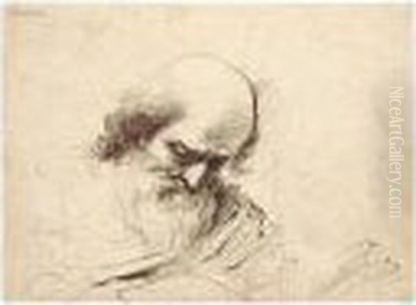 Head Of An Old Man Reading. Oil Painting by Guercino