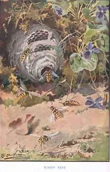 Wasps Nest illustration from Country Ways and Country Days Oil Painting by Louis Fairfax Muckley