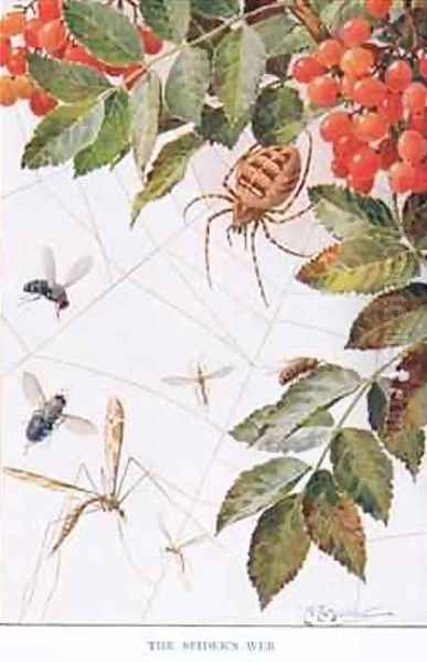 The Spiders Webb illustration from Country Ways and Country Days Oil Painting by Louis Fairfax Muckley