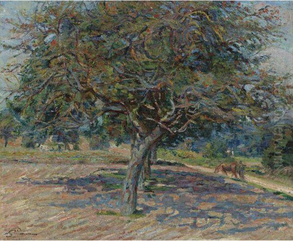 Arbres En Ile-de-france Oil Painting by Armand Guillaumin