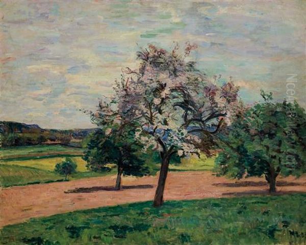 Apple Trees In Blossom Ile De France Oil Painting by Armand Guillaumin