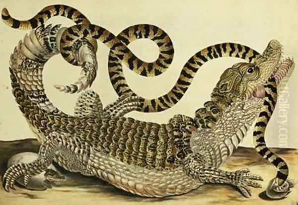 Alligator and Snake 1730 Oil Painting by Maria Sibylla Merian