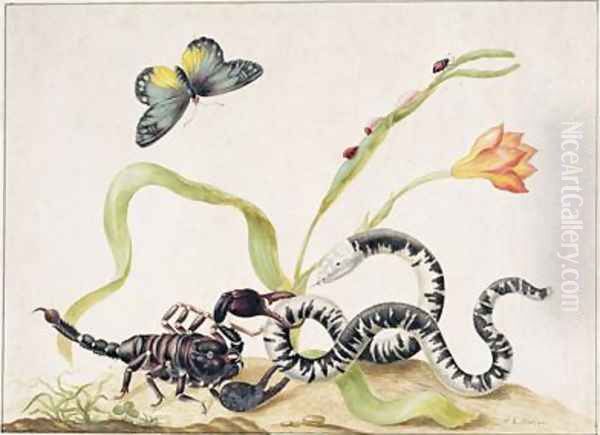 Scorpion and Snake Oil Painting by Maria Sibylla Merian