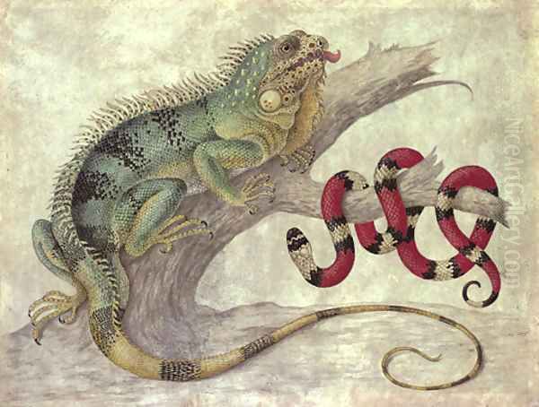 An Iguana (Iguana iguana) and a Coral snake (Elapidae micrurus) on a tree stump Oil Painting by Maria Sibylla Merian