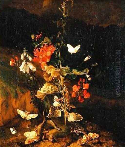 Flower Study Oil Painting by Otto Marseus van Schrieck