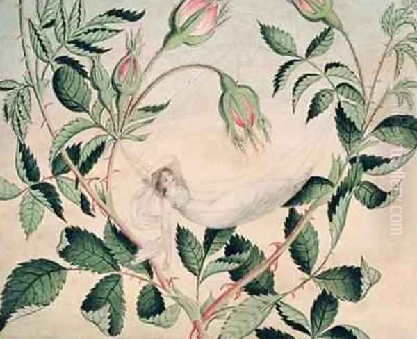 A fairy resting in a hammock spun from cobweb 1827-29 Oil Painting by Amelia Jane Murray