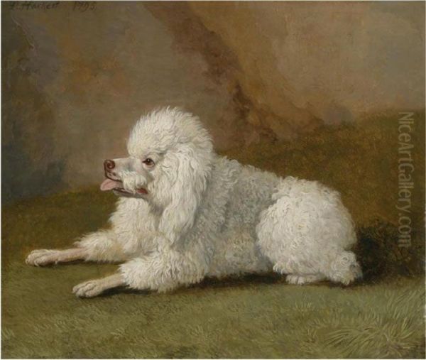 Portrait Of A Poodle Oil Painting by Jacob Philipp Hackert