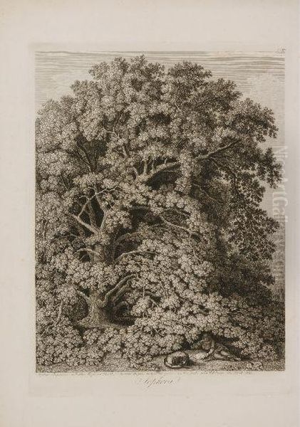 Sophora, Sophora Japonica Au 
Jardin Anglais A Caserte, Desine Dapres Nature Et Grave A L'eau Fort Par
 Philippe Hackert 1801 Oil Painting by Jacob Philipp Hackert