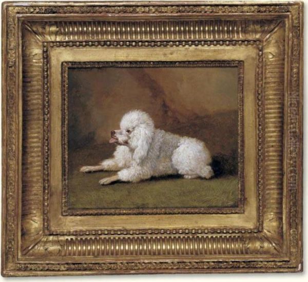 A Portrait Of A Poodle Oil Painting by Jacob Philipp Hackert