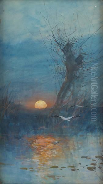 Coucher De Soleil Surl'etang Avec Cigognes Oil Painting by Maurice Hagemans