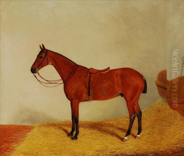 A Bay Horse In A Stableinterior Oil Painting by Harry Hall