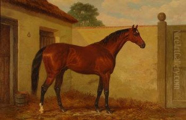 Kingcraft-study Of A Bay Horse Oil Painting by Harry Hall