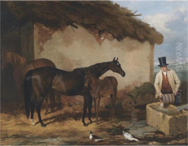 The Mare Perhaps And A Foal At Newmarket Oil Painting by Harry Hall