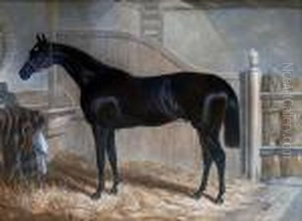 The Racehorse Oil Painting by Harry Hall