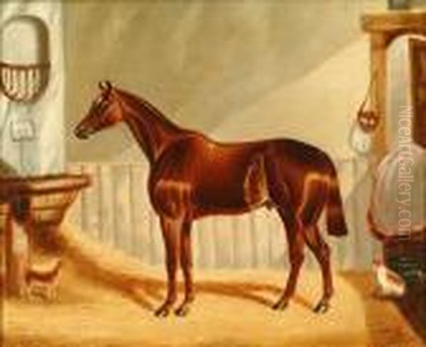 Toptham: Study Of Bayhorse In A Stable Interior Oil Painting by Harry Hall