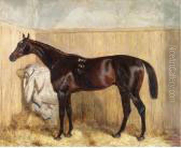 A Bay Racehorse In A Stable Oil Painting by Harry Hall