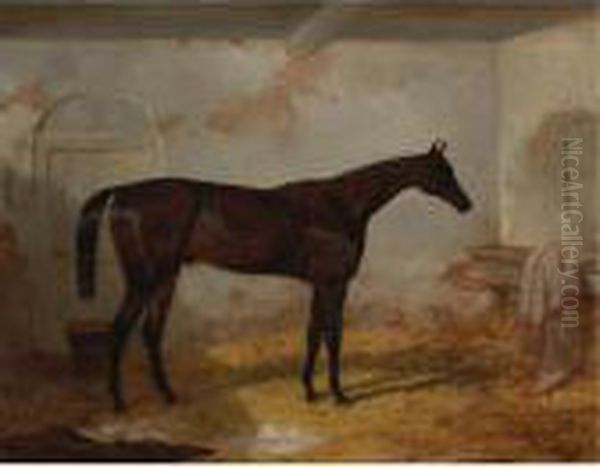 Mr. A. W. Hill's Bay Colt Sweetmeat In A Loose Box Oil Painting by Harry Hall