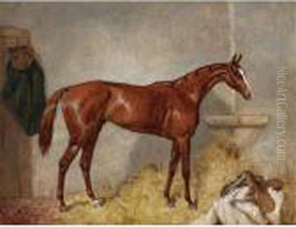 Portrait Of Blair Atholl, A Bay Racehorse In A Loose Box Oil Painting by Harry Hall