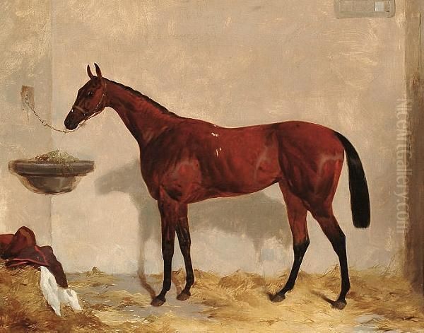 A Brown Mare In A Stable. Oil Painting by Harry Hall