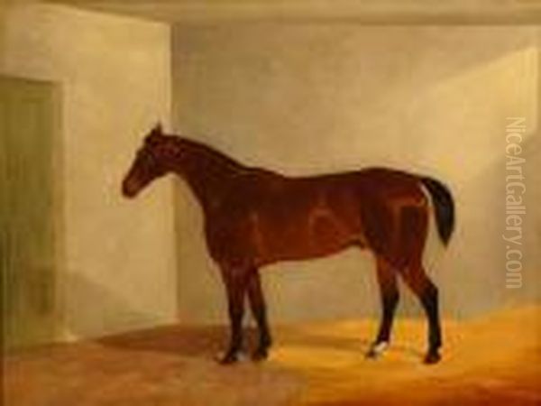 Bay Racehorse In A Loosebox Oil Painting by Harry Hall