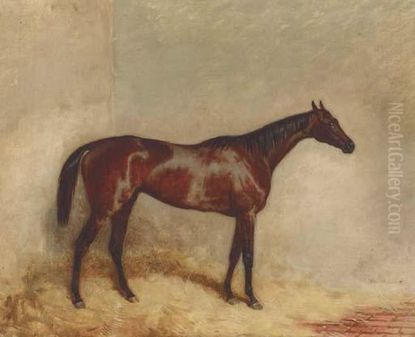 Etoile Du Nord In His Stable Oil Painting by Harry Hall