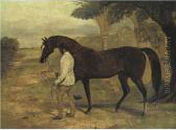 Irish Birdcatcher Led By A Groom Oil Painting by Harry Hall