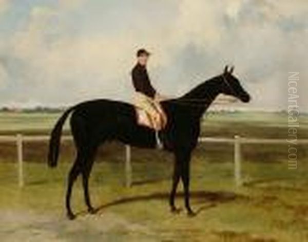 Portrait Of A Horse With Jockey Up Oil Painting by Harry Hall