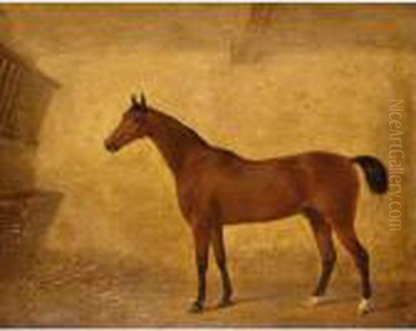 Portrait Of A Bay Horse In A Loose Box Oil Painting by Harry Hall