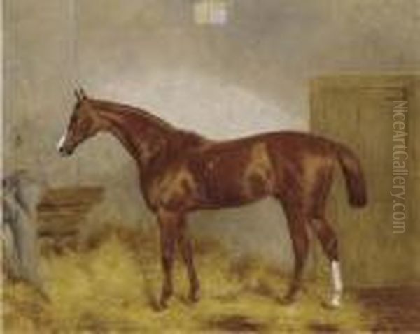 Cymbal, A Chestnut Racehorse In A Stable Oil Painting by Harry Hall