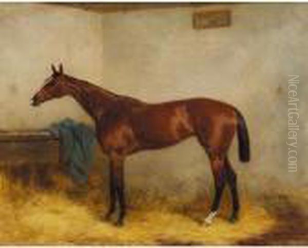 Chopette, A Bay Racehorse In A Stable Oil Painting by Harry Hall